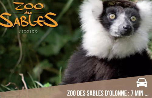 Suite Olonna Spa et Terrasse à 7 min des plages - Foto 43