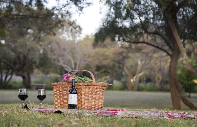 Nehema Manor - Foto 44