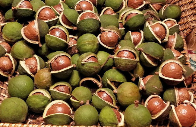 Casale Della Pergola Eco-friendly by the sea - Foto 43