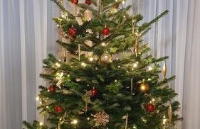 Tatra West Farm - Foto 46