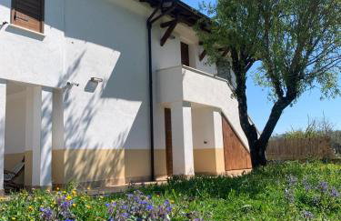 Domus Antonii - Foto 1