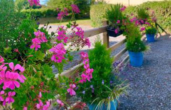 Lime Tree House - Foto 28