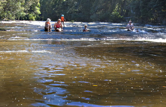 Tyenna River Cottage - Foto 7