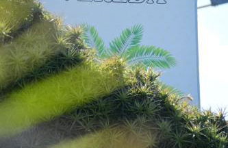 Casa Vereda, Ponta Delgada, S. Miguel - Photo 32