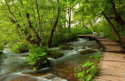 Apartment Nina - Foto 46