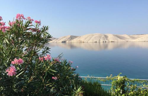 Vila Vinko - Foto 14