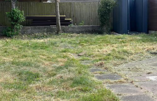 AMS Properties - Foto 28