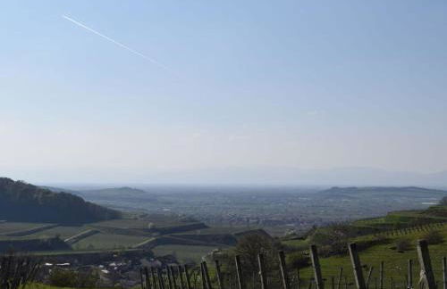 Holiday Apartment Kromer - Foto 59