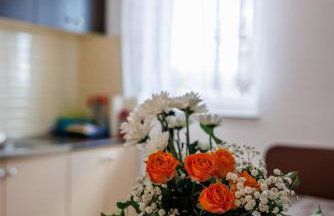 Apartments Stašić Katarina - Foto 35