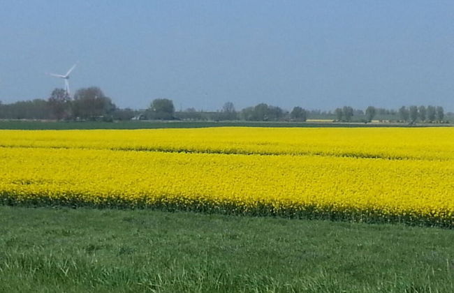 Country House at the Lighthouse - Foto 13