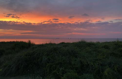 Beach Front on the Bay in our Rustic, Pet Friendly Cottage home - Photo 6