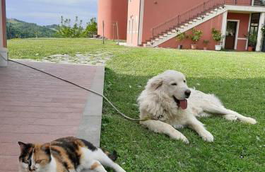 Agriturismo La Vita è Bella - Foto 21