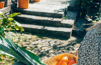 Just Like Home - Quinta da Cavada em Vilar de Mouros - Foto 39