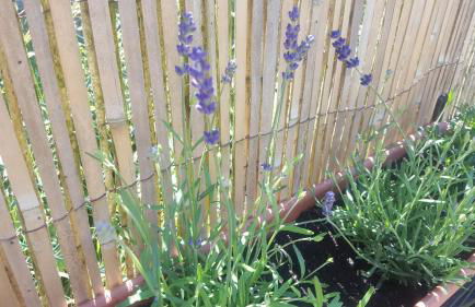 Gite Joël et Nathalie - Foto 31