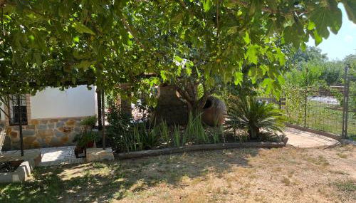 Casa de campo RuralRuñA - Photo 4