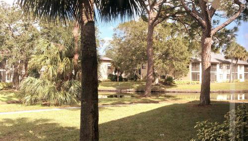 Waterview Oasis Retreat, minutes to Anna Maria Island and IMG - Foto 2