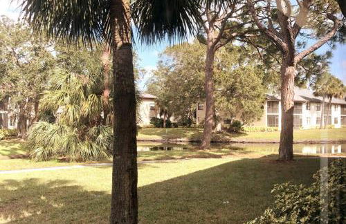 Waterview Oasis Retreat, minutes to Anna Maria Island and IMG - Photo 2