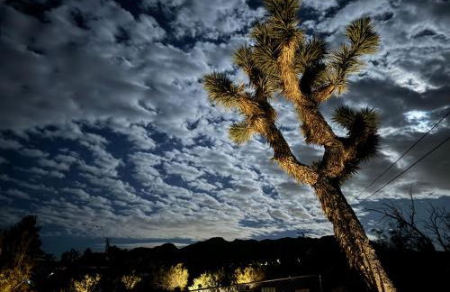 10 minutes to JTNP - Sauna, Hot Tub, Cold Plunge Saltwater Pool, Telescope, Fireplace and Views - Foto 30