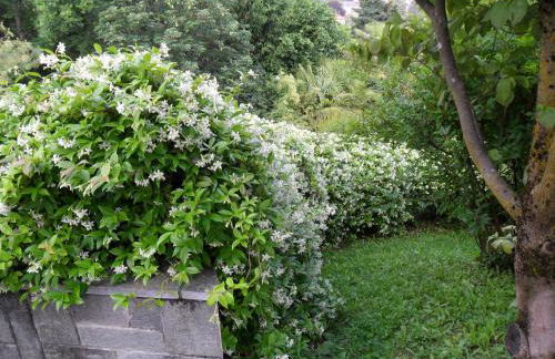 I TRE FAGGI - Foto 4