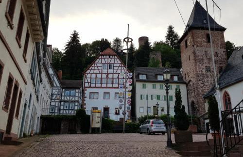 Zauberhafte Wohnung in der Nähe von Heidelberg, top Lage - Foto 44