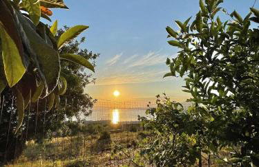 EVELIN STUDIO - Foto 27