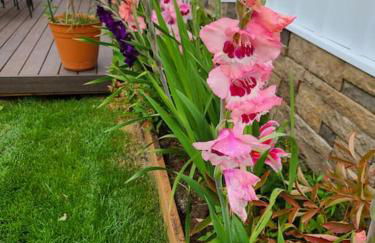 Luxury DT Cottage - Free Parking - Self Check-In - Foto 21