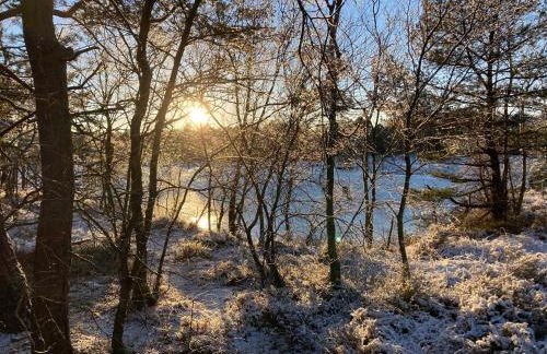 Ferienwohnung Am Holzfeld - Photo 33