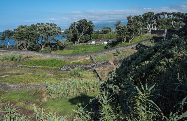 ENTRE MUROS - Foto 45