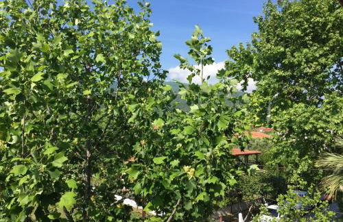 Vaya Apartments & Studios - Foto 37