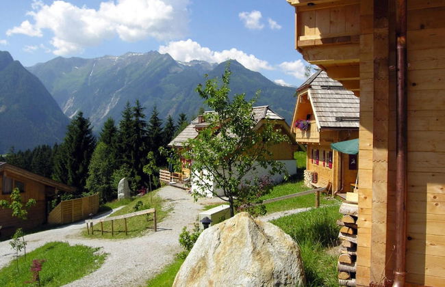 Chalet in Wildkogel Near Ski Slopes - Foto 15