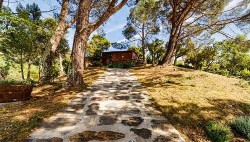 Arrabia Bunga Douro - Foto 2, Garden