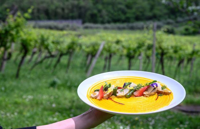 Massimago Wine Relais - Foto 51