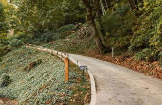 Sweet Lil Casita Puget Sound Hideaway - Photo 6