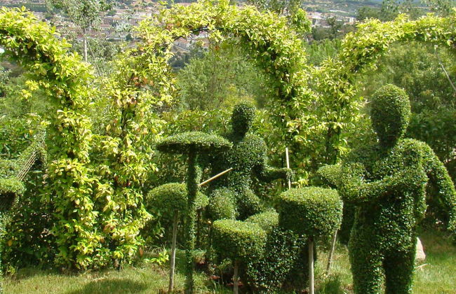 Enchanted Forest Tickets - Foto 1