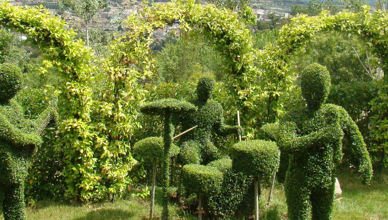 Enchanted Forest Tickets - Foto 1