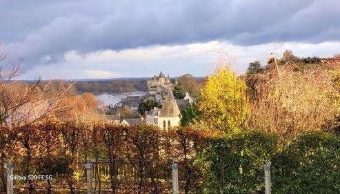 Le Belvédère de Montsoreau - Foto 3