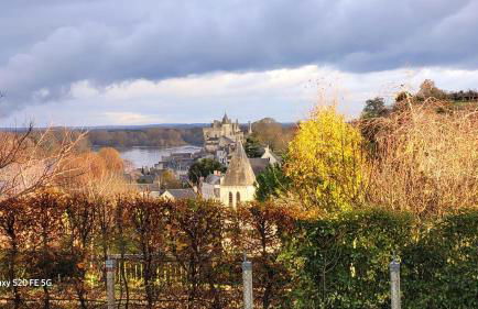Le Belvédère de Montsoreau - Foto 3