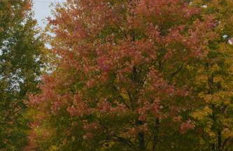 CHASIN' MEMORIES - Foto 52