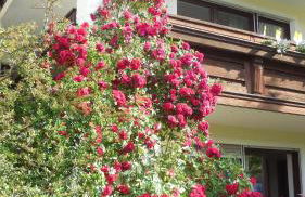 Haus Aigner - Foto 7