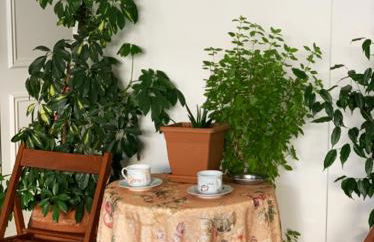 zoe's apartment Bright&Cozy - Foto 47