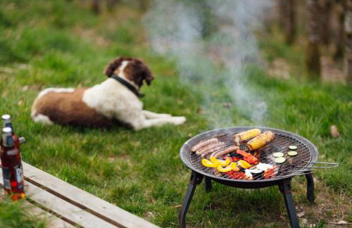 Goldfinch - Photo 14