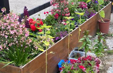 Cottage Farmhouse - Photo 24