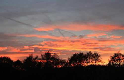 Ferienhaus Fam. Gottbehüt - Foto 6