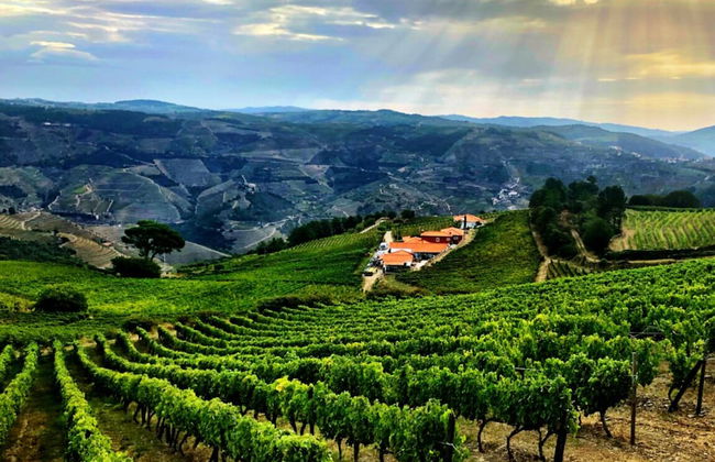 Quinta dos Espinheiros - Foto 45