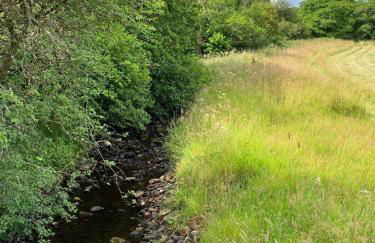 Migdale Pods Luxury Glamping - Foto 37