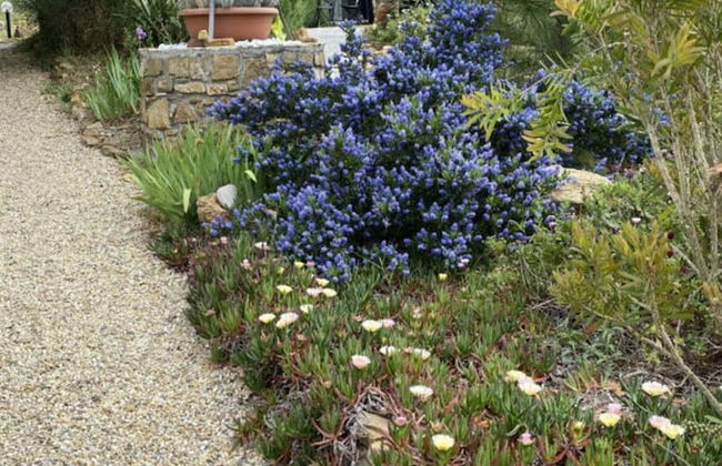 Holiday Apartment Monte Faudo - Photo 19