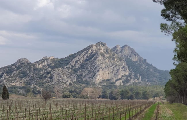 Les Estrelles - Foto 22