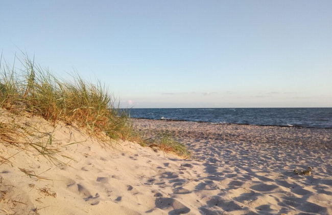 Ferienhaus mit Kamin in Mechelsdorf - Photo 27