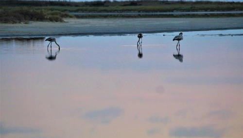 Infinite Blue, Horizon, Elegance, Hospitality - Foto 2