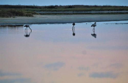 Infinite Blue, Horizon, Elegance, Hospitality - Photo 2